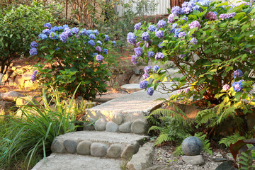 Stone path in the garden. Landscape design. Lifestyle, the concept of a beautiful garden.