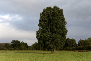 Landscape at the mouth of the river Inya. Altai region. Russia