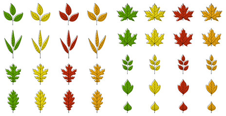 Autumn leaves set on white background, for any occasion