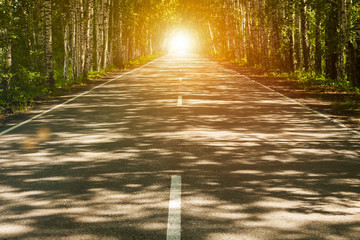 Obraz premium The road with trees on the side. sunset. nature.