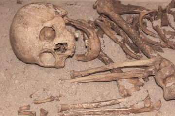 Ancient human skeleton. history of antiquities, archaeology. anthropology.
