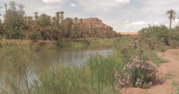Taghit,; d&eacute;sert, oasis