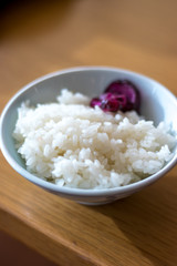 白ごはん
