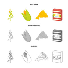 Naklejka premium Vector design of cornfield and vegetable icon. Set of cornfield and vegetarian stock vector illustration.