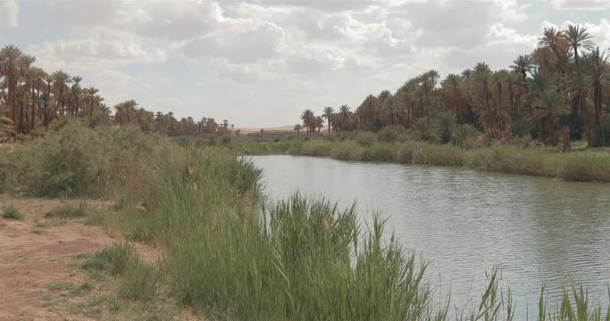 Taghit,; d&eacute;sert, oasis