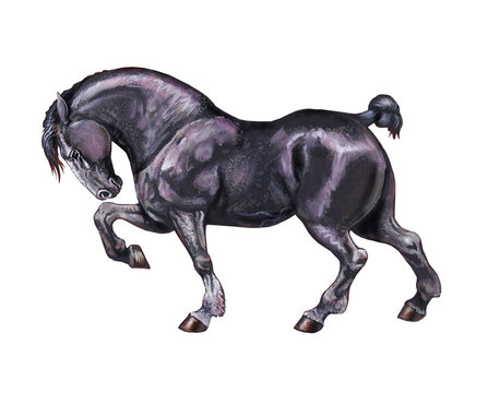 Draft horse illustration. Horse portrait. Horse acrylic painting.