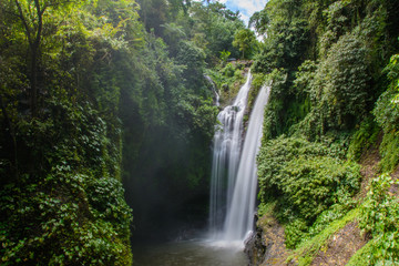 Tropical waterfall in jungle of Bali island, Indonesia