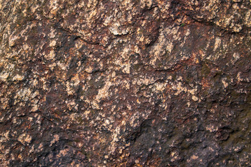 Texture of stone