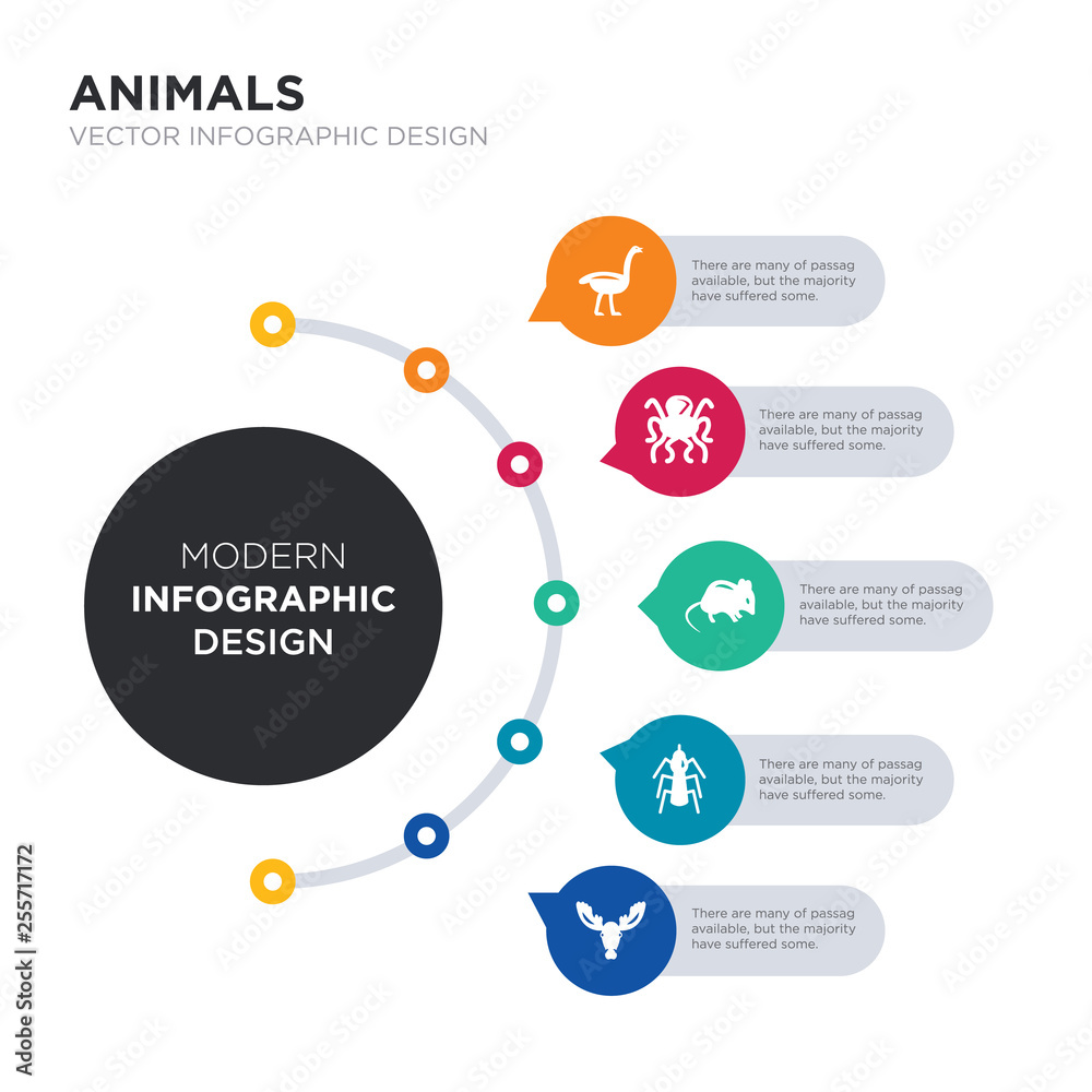 Wall mural modern business infographic illustration design contains moose, mosquito, mouse, octopus, ostrich simple vector icons. set of 5 isolated filled icons. editable sign and symbols