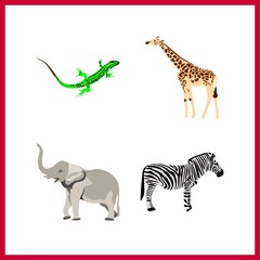 4 zoo icon. Vector illustration zoo set. lizard and giraffe icons for zoo works