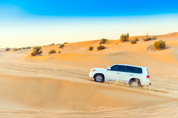 Fototapeta premium White jeep at a safari in the desert. Copy space for text.