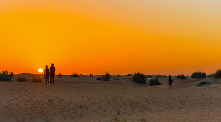 Fototapeta na wymiar Sunset over sand dunes in Dubai Desert Conservation Reserve, United Arab Emirates. Copy space for text.