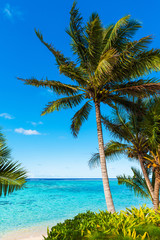 View of the sandy beach, Cook Islands, South Pacific. Copy space for text. Vertical.