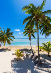 Stunning tropical Aitutaki island with palm trees, white sand, turquoise ocean water and blue sky at Cook Islands, South Pacific. Vertical.