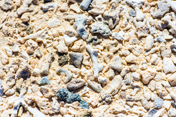 Corals on a sandy beach, Aitutaki Island, Cook Islands, South Pacific. Sea texture.