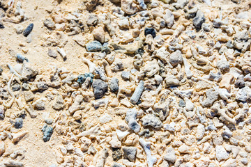 Corals on a sandy beach, Aitutaki Island, Cook Islands, South Pacific. Sea texture.