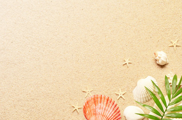 Obraz na płótnie Canvas Summer background with green palm leaf and shells. Beach texture. Copy space. Top view
