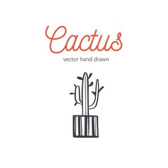 Cactus vector hand drawn. Desert houseplant