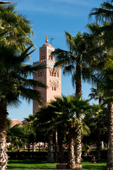 The famous minaret of Koutoubia Mosque as seen through palm tree leaves in Parc Lalla Hasna during a spring morning (Marrakesh, Morocco, Africa)