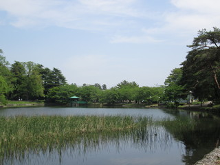 池と新緑