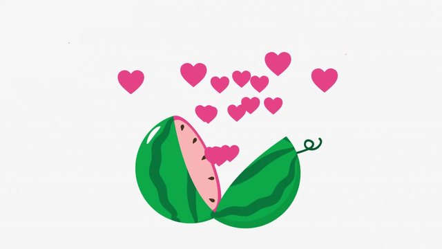 The cartoon watermelon is broken into two parts, the hearts fly out. Healthy food animation with white background. Alpha channel.