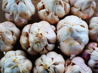 garlic in the market