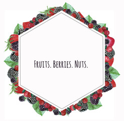 Bright watercolor fruit illustration