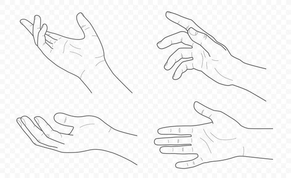 handdrown vector outline and contour illustration of hands with fingers in different gestures with open palms