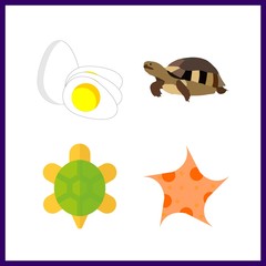4 shell icon. Vector illustration shell set. boiled egg and turtle icons for shell works