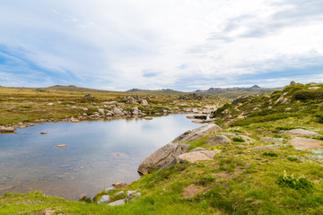 Fototapeta premium View over Snowy River in Kosciuszko National Park, NSW, Australia. Nature background with plants and vegetation.