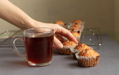 Homemade muffins prepared for breakfast