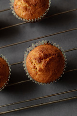Homemade muffins prepared for breakfast