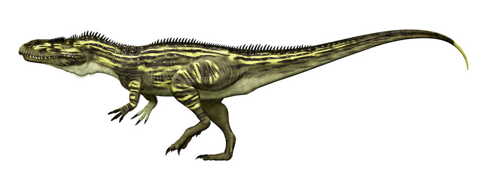 Dinosaurier Torvosaurus, Freisteller