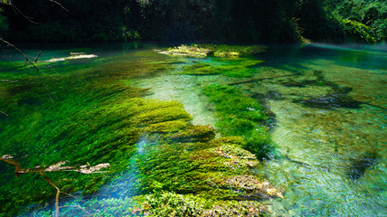 blue eye,albania,syri i kalter,gjirokaster,albania landscape,background,balkan,balkans map,beautiful,beauty,blue,fall,forest,garden,gjirokastër,green,lake,landscape,mineral,minerals,natural,natu