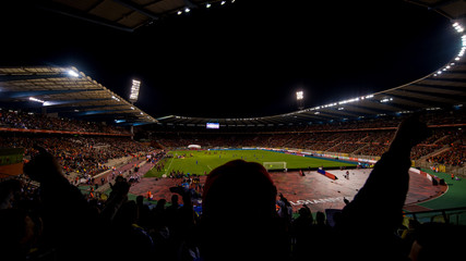 soccer fans support their favorite sports team