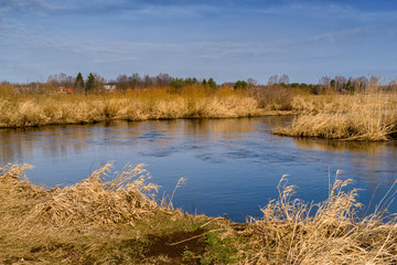 Dolina Górnej Narwi. Natura 2000. Wiosna na Podlasiu