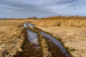 Dolina Górnej Narwi. Natura 2000. Wiosna na Podlasiu © podlaski49