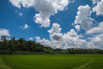 sky and cloud in background