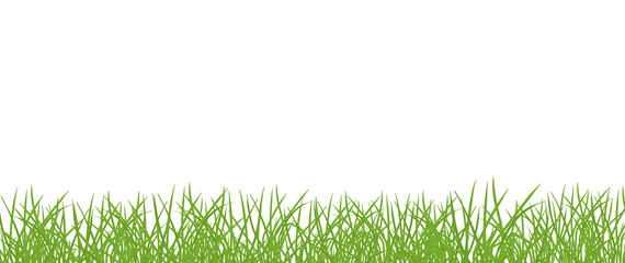 Green grass lawn banner. Border frame isolated transparent background. Vector flat Illustration on white background