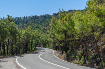 Fototapeta premium Uphill a curvy, bendy road. Open road through forest on hillside. Open road. Empty road with no traffic in countryside. Rural landscape. Greece.