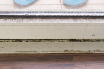Spot of mold, mould, mildew or fungas on frame of door.