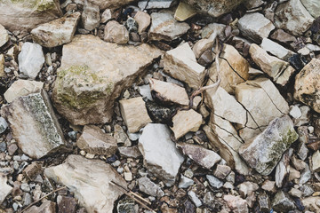 stones on the coast