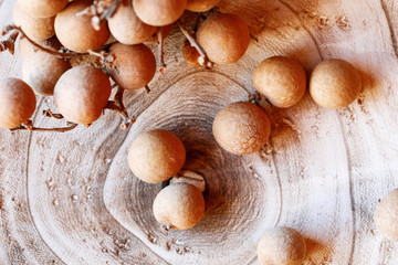 Abstract texture of a tree. Ready photo background.