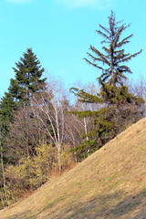 spring view in the Kiev Botanical Garden