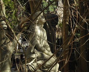 Statua