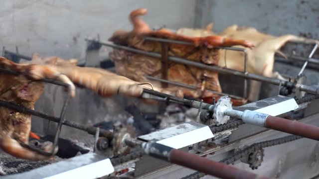 Roasted suckling pig or barbecued suckling pig in skewer on fire grill frame.Whole pig piglet fire roast grill bbq cooking pork meat food meal for sale at China town.Traditional Chinese food.