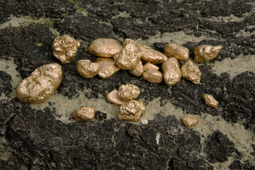 Pure gold ore on old wood