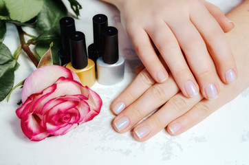 Beautiful woman hands with manicure and rose, spa beauty treatment