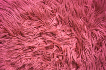background of wool