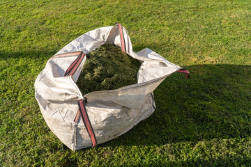 Sack with freshly cut grass